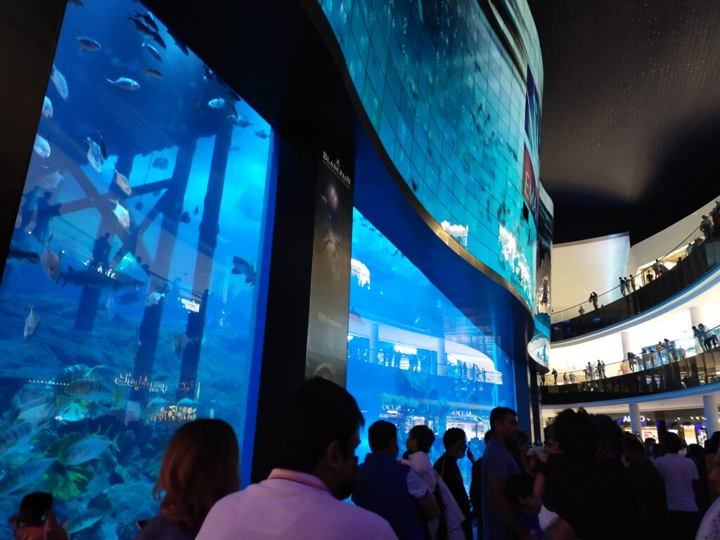 Ingresso Acquario del Dubai Mall